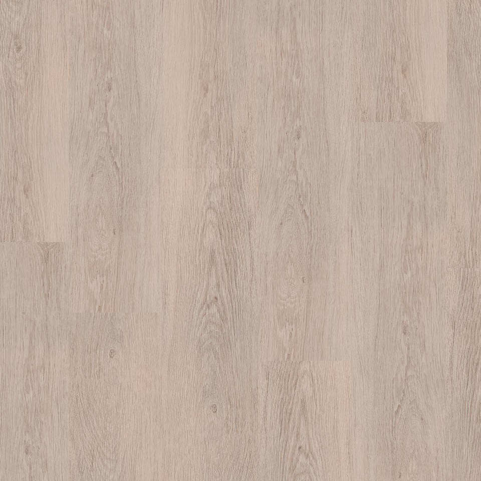  - PROGRESSIVE HOUSE MICHAEL